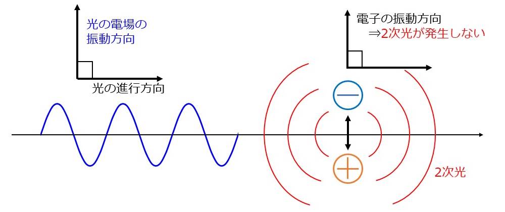 ブリュースター角 コレクション 照明